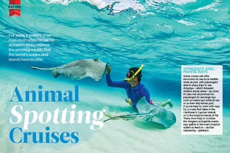 Animal Spotting Cruises