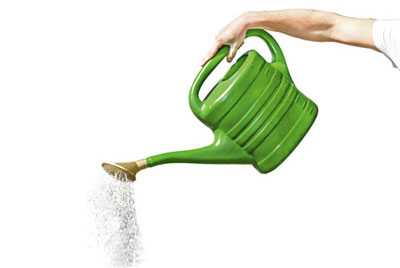 gardening tips