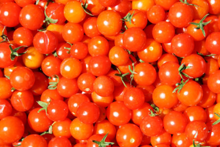 How to Grow Tomatoes