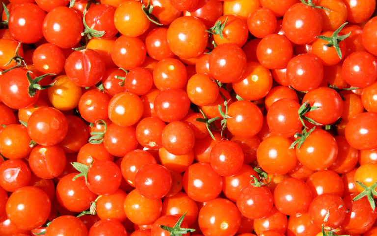 How to Grow Tomatoes