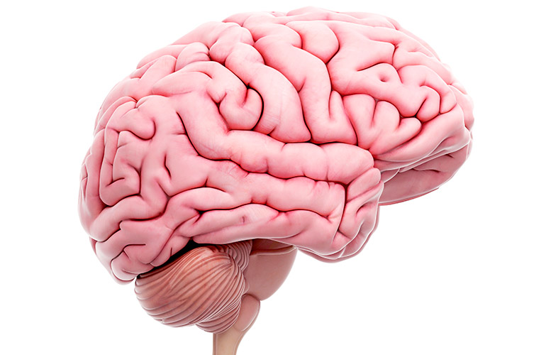 Where is it located in the brain?