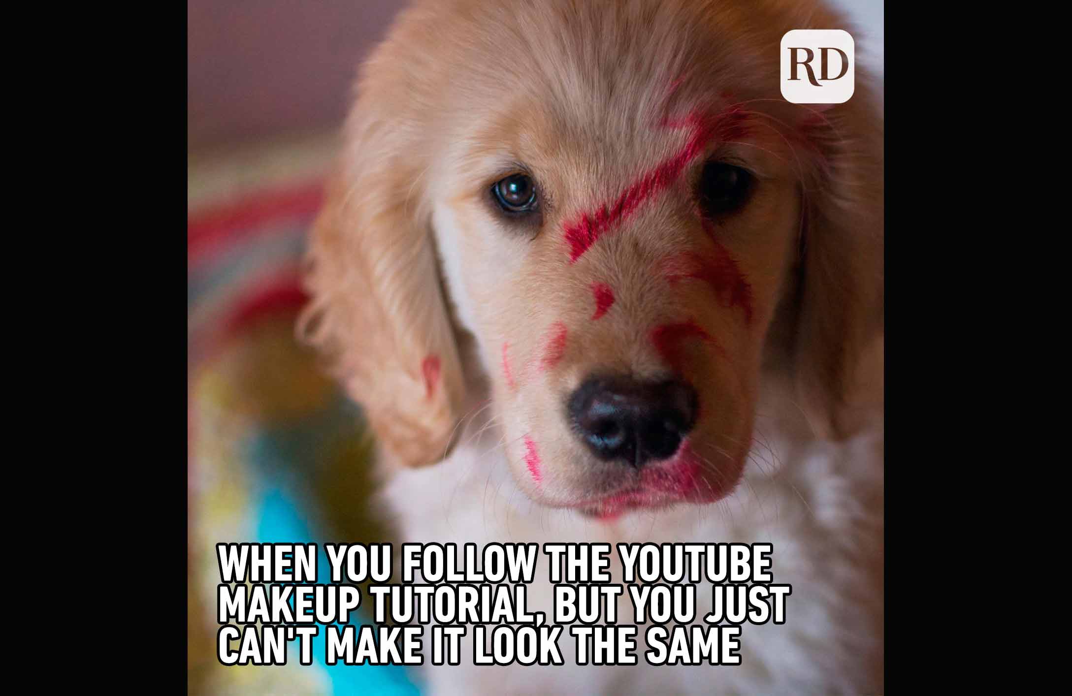 Makeup guru