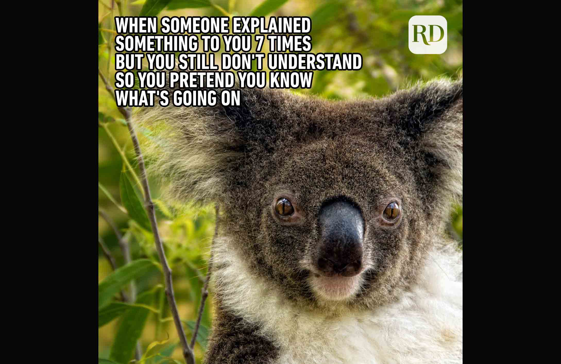What did you say?