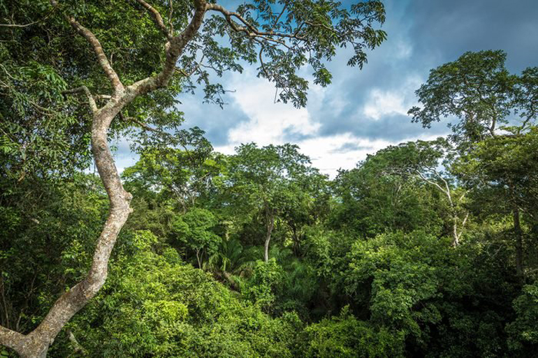 20 unexplained mysteries of the Amazon | Reader's Digest Asia