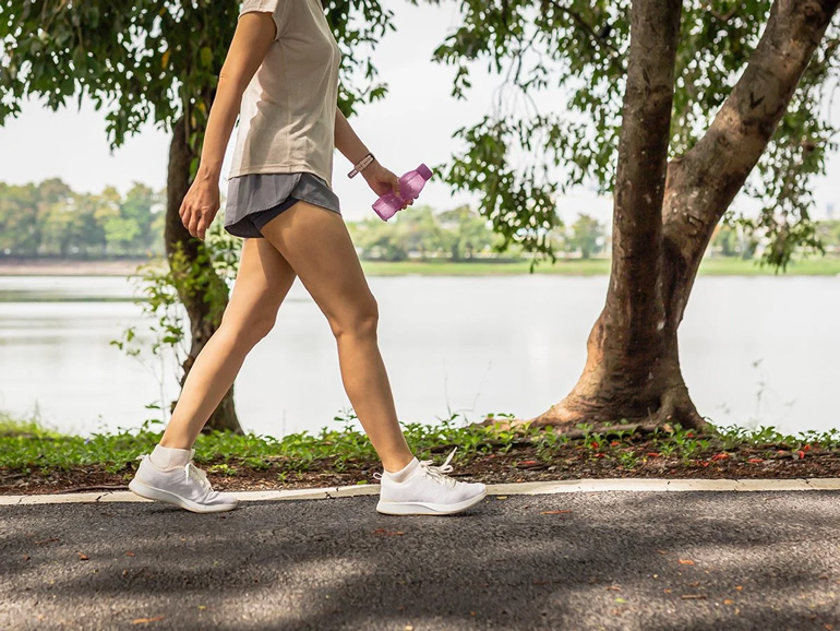 We go for a walk every day. Люди гуляют в парке. We go for a walk every day. Taking a dog for a walk. Everyday every day.